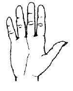 image, آموزش کامل تصویری فال کف بینی با خط های کف دست