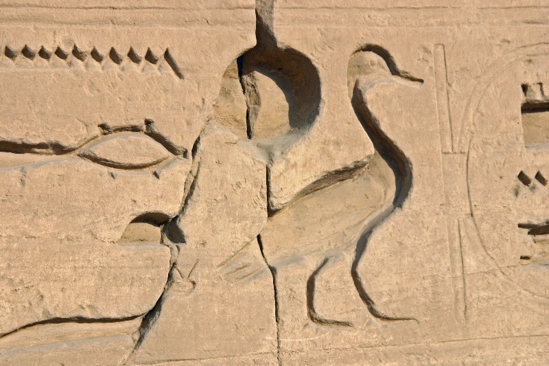 عکس های دیدنی معبد کرنک مصر باستان بزرگترین مکان مذهبی باستانی در جهان معابد و پرستشگاه باستانی شگفت انگیز در سرزمین فراعنه مصر