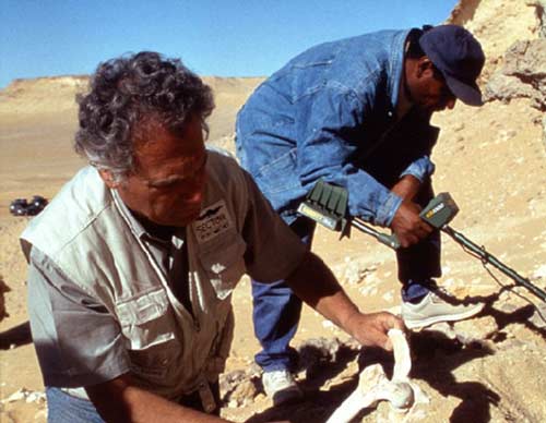 عکسهای کشف اجساد سربازان ایرانی دوران پادشاه هخامنشی ایران باستان در صحرای مصر