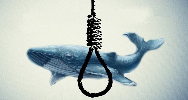 همه چیز درباره بازی نهنگ آبی (چالشی برای خودکشی !)